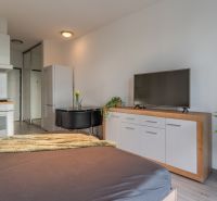 Wohnzimmer in einer Einzimmerwohnung mit Küchenzeile, Fernseher, Kühlschrank und Tisch.