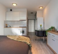 1-Zimmer-Wohnung mit Küche, Esstisch und Boden mit Holzdekor.