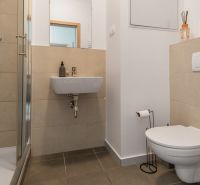 Badezimmer mit Toilette und Duschkabine in einer Einzimmerwohnung.