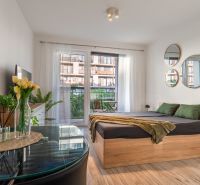 Helle 1-Zimmer-Wohnung mit Bett, Spiegeln und Holzboden, Balkon vor dem Fenster.