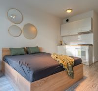 Einfaches Zimmer mit Bett, Kochnische und Boden in Holzoptik.