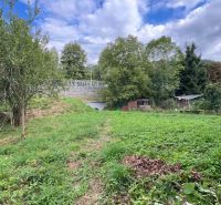 Garten bei einem Einfamilienhaus in Stankovany, mit Gras und Bäumen im Hintergrund.