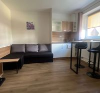 Wohnzimmer mit Küchenzeile, Holzboden, 2-Zimmer-Wohnung.