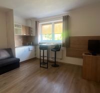Wohnzimmer mit Küchenzeile in einer 2-Zimmer-Wohnung, Boden mit Holzdekor.