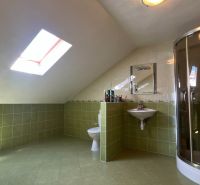 Ein Badezimmer in einem Einfamilienhaus mit Fliesen und einer Dusche unter einem Dachfenster.