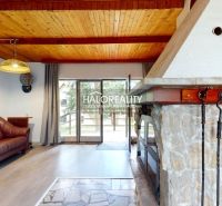 Rustikales Interieur einer Hütte mit Kamin, Ledersofa und Holzboden.
