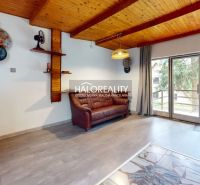 Ein Interieur mit einer Holzdecke, einem bequemen Sofa und Glastüren in einer Hütte.
