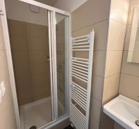 Badezimmer in einem Einfamilienhaus mit einer Duschkabine mit Tellerbrause und einem Handtuchheizkörper.