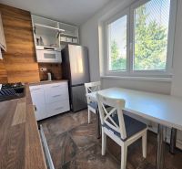Küche in einer 2-Zimmer-Wohnung mit Holzelementen und Blick ins Grüne.