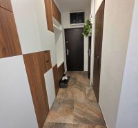 Der Flur in der 2-Zimmer-Wohnung mit dunklen Türen und einem Boden in Holzoptik.