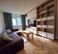 Wohnzimmer in einer 2-Zimmer-Wohnung mit Sofa, TV und Boden in Holzoptik.