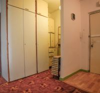 Eingangsbereich in einer 2-Zimmer-Wohnung mit Holzboden und Einbauschränken.