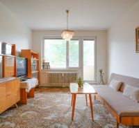 Wohnzimmer in einer 2-Zimmer-Wohnung mit Sofa, Vitrine und Fenster ins Grüne.
