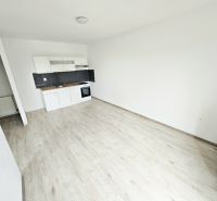Küchenzeile und Boden mit Holzdekor in einer Einzimmerwohnung.