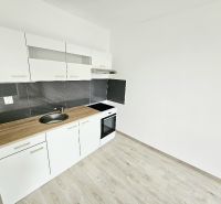 Weiße Küchenzeile mit schwarzer Verkleidung in einer Einzimmerwohnung mit Holzboden.