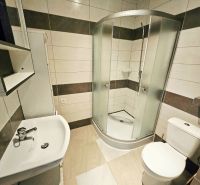 Badezimmer in einer Einzimmerwohnung mit Waschbecken, Duschkabine und Toilette.