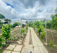 Ein Garten bei der Hütte in der Straße Nové Zámky in Nové Zámky mit Weinreben und einem Beet.