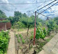 Garten bei der Hütte in Nové Zámky mit Obstbäumen und einem Gehweg.