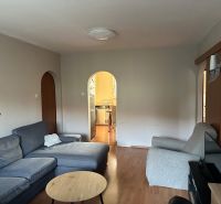 Wohnzimmer einer 3-Zimmer-Wohnung mit einem bequemen Sofa und einem Boden in Holzoptik.