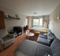 Wohnzimmer einer 3-Zimmer-Wohnung mit Holzboden, Sofa und Schreibtisch.