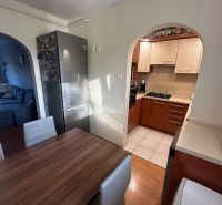 Küche mit Holzelementen, Esstisch, Kühlschrank und ein Bogen, der ins Wohnzimmer führt.