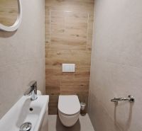 Badezimmer in einer 2-Zimmer-Wohnung mit Holzboden und hängendem WC.