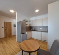 Küche in einer 2-Zimmer-Wohnung mit Holzboden und stilvollen Schränken.