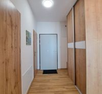 Geräumiger Flur mit Holzboden und Einbauschrank in einer 2-Zimmer-Wohnung.