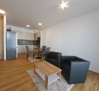 Wohnzimmer in einer 2-Zimmer-Wohnung mit offener Küche und Holzboden.