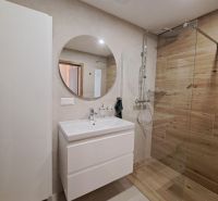 Badezimmer in einer 2-Zimmer-Wohnung mit Waschbecken, Duschkabine und Boden mit Holzdekor.