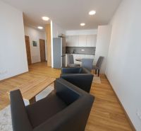 Wohnzimmer in einer 2-Zimmer-Wohnung mit Holzboden und stilvollen Möbeln.