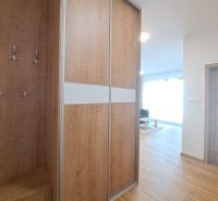 Innenraum mit Holzdekorboden und Einbauschrank in einer 2-Zimmer-Wohnung.