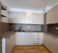 Küche in einer 2-Zimmer-Wohnung mit Holzboden und elegantem Möbel.