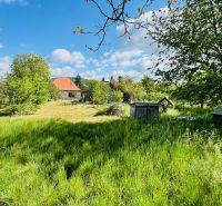 Grün, Bäume und ein Einfamilienhaus in der Gemeinde Pažiť mit blauem Himmel im Hintergrund.