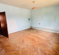 Ein Einfamilienhaus mit hellblauen Wänden und einem Boden in Holzoptik.