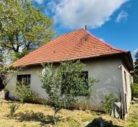 Ein Einfamilienhaus in Pažiti mit rotem Dach, umgeben von Grünflächen und Bäumen.