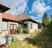 Einfamilienhaus in Pažiť mit zwei Eingängen, Fenster mit Netzen, daneben ein schmaler Garten.