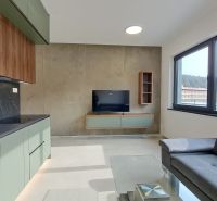 Wohnzimmer in einer 2-Zimmer-Wohnung mit Sofa, Küchenzeile und Fernseher an der Wand.