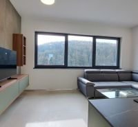 Wohnzimmer in einer 2-Zimmer-Wohnung mit Sofa, Fernseher und Blick auf den Wald.