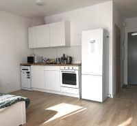 Küchenbereich in einer Einzimmerwohnung mit Holzboden und weißen Möbeln.