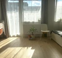 Helles Zimmer in einer Einzimmerwohnung mit Holzboden und einer Pflanze.