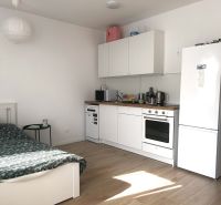 Kompakte Küche mit eingebauten Geräten und Holzboden in einer Einzimmerwohnung.