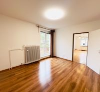Ein Zimmer in einer 2-Zimmer-Wohnung mit großen Fenstern und einem Boden in Holzoptik.
