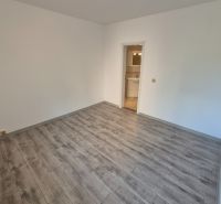 Ein Zimmer mit hellen Wänden und einem Boden in Holzoptik in einer 4-Zimmer-Wohnung.