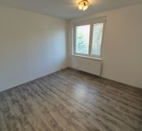 Ein Zimmer in einer 4-Zimmer-Wohnung mit einem Boden in Holzoptik und einem Fenster.