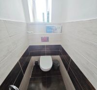 Badezimmer mit Toilette in einer 2-Zimmer-Wohnung, Fliesen mit Holzdekor an den Wänden.