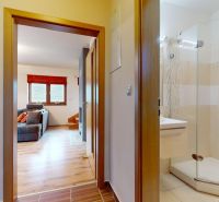 Die Hütte hat ein Badezimmer mit einer Dusche und ein Wohnzimmer mit einem Boden in Holzoptik.