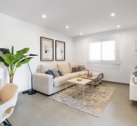Wohnzimmer in einer 2-Zimmer-Wohnung mit Sofa, Teppich und Zimmerpflanze.