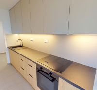 Küche in einer 2-Zimmer-Wohnung mit Holzschränken und Kochfeld auf der Arbeitsplatte.