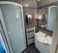 Badezimmer mit Dusche, Waschbecken, Spiegel und Handtuchheizkörper in Besonderen Immobilien.